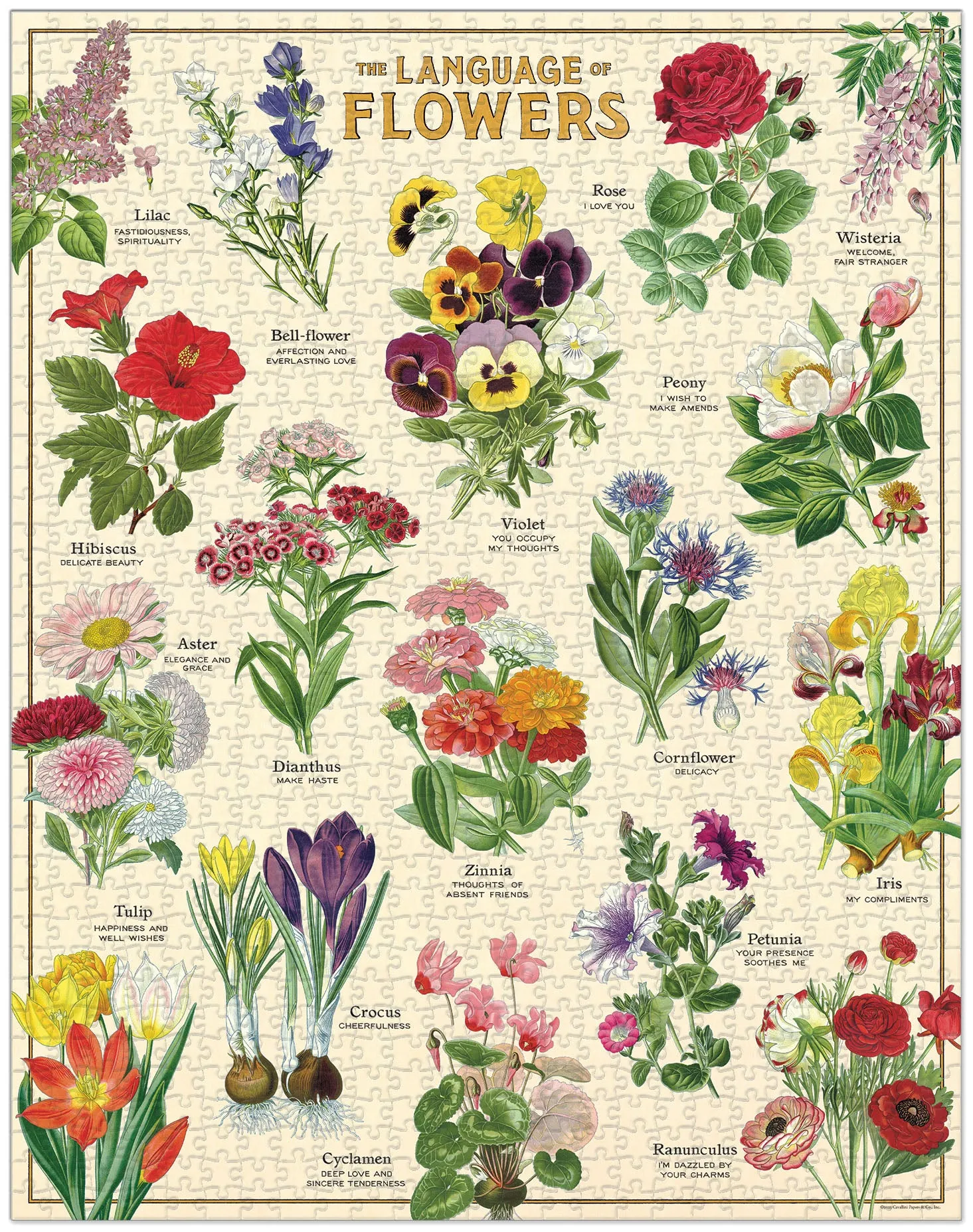 Playful learning Smart kids gear Cavallini & Co. Language Of Flowers 1000 Piece Puzzle
