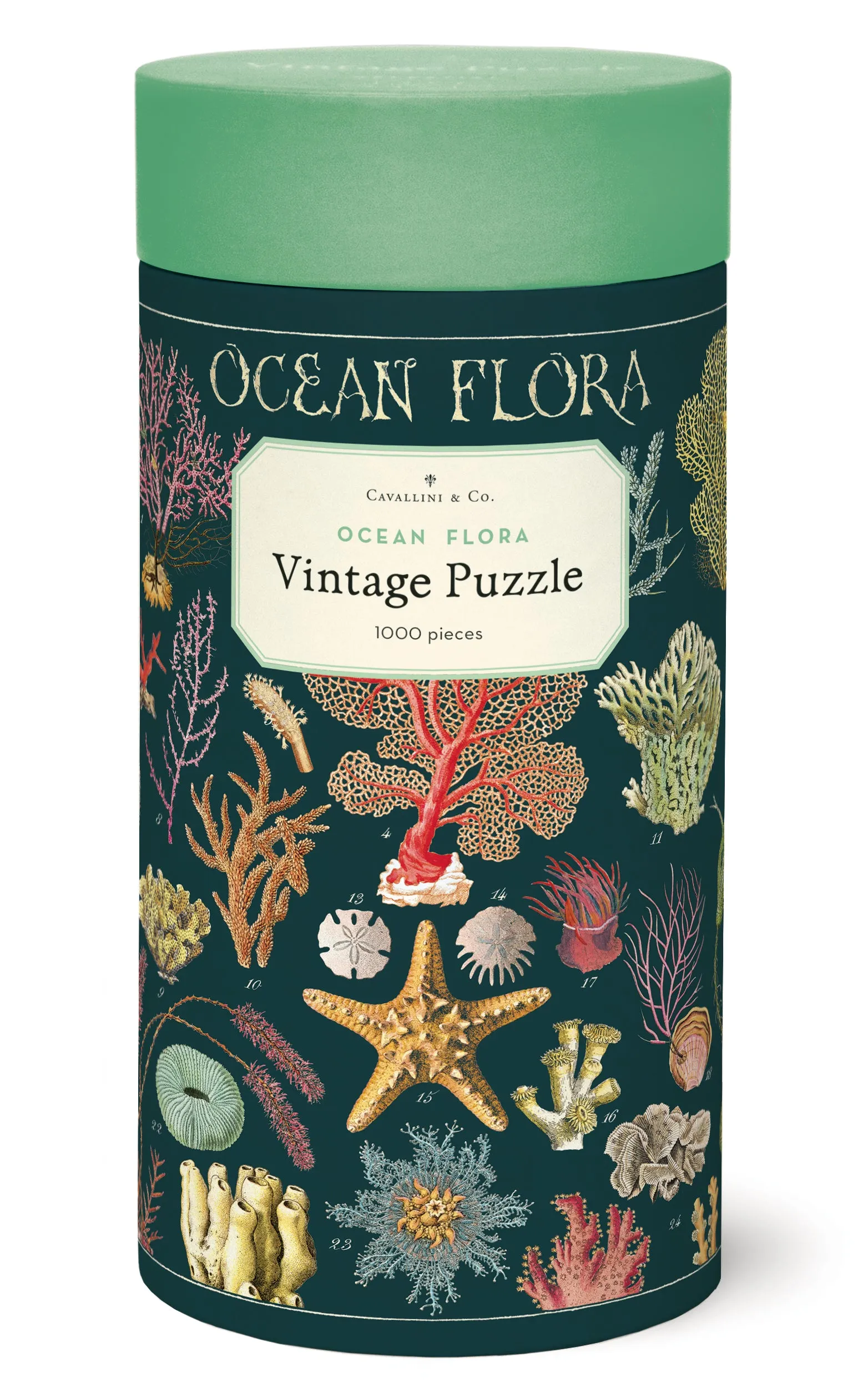 Cavallini & Co. Ocean Flora 1000 Piece Puzzle Play & learn Holistic