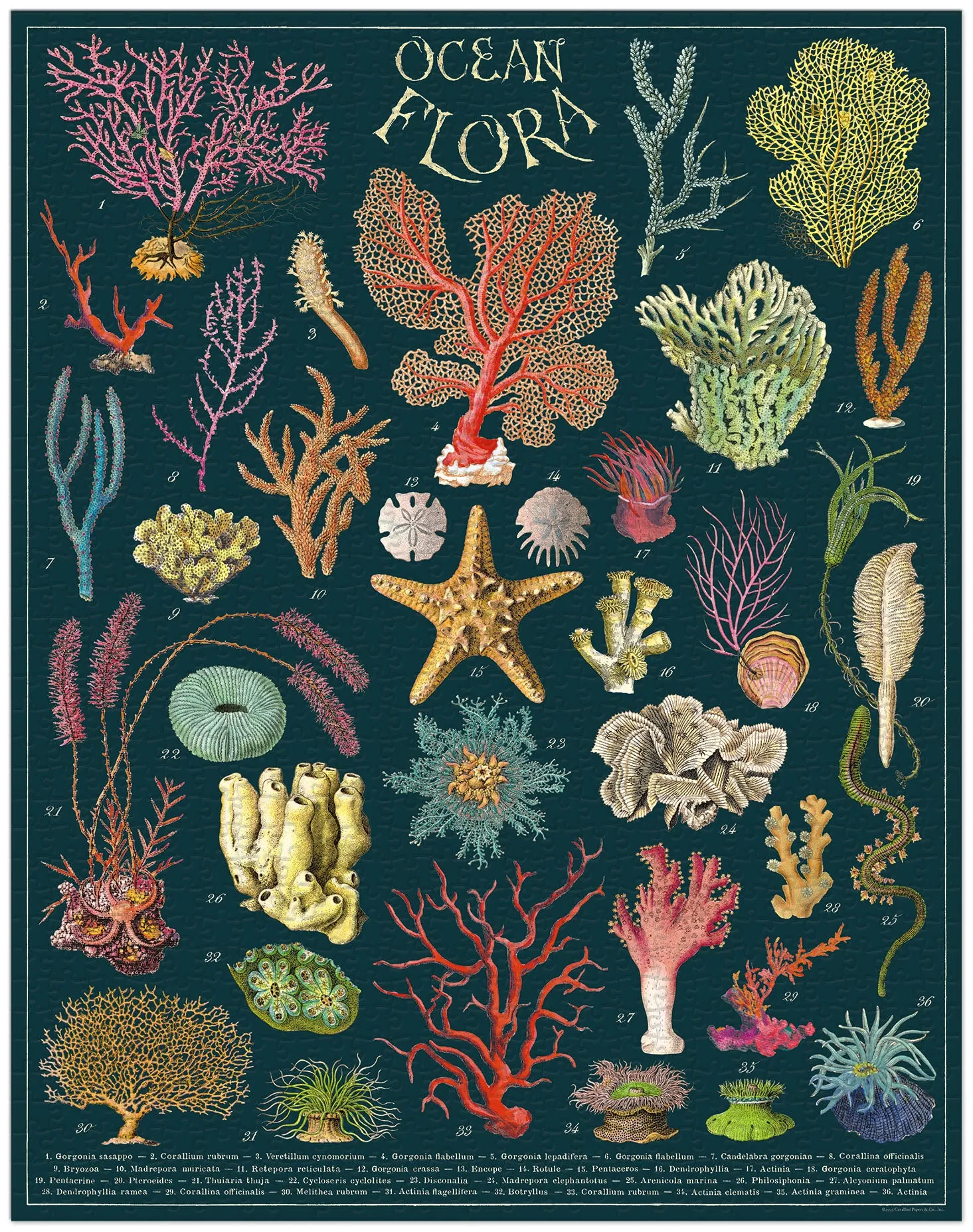 Tiny thinkers Little builders Cavallini & Co. Ocean Flora 1000 Piece Puzzle