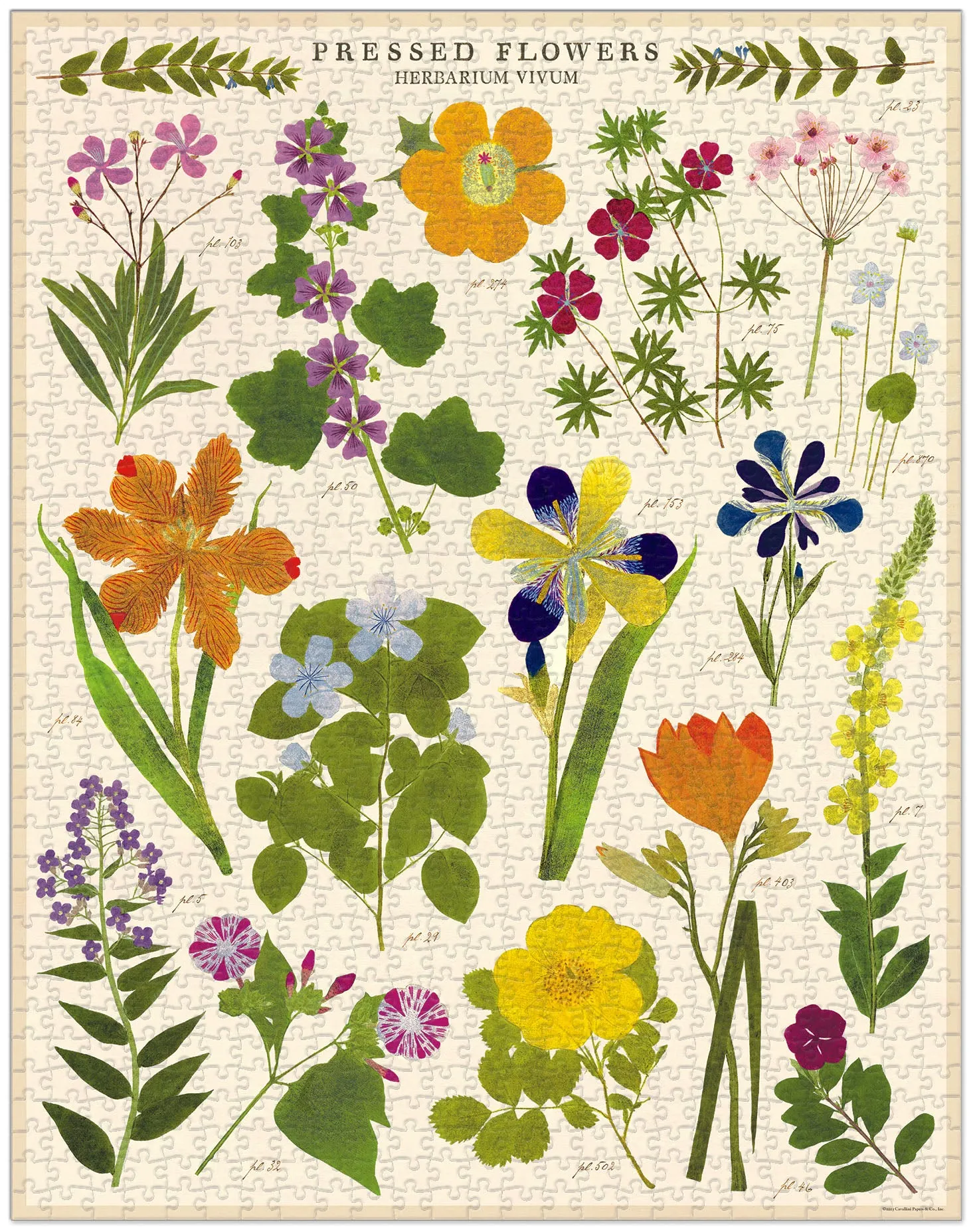 Cavallini & Co. Pressed Flowers 1000 Piece Puzzle Mini makers