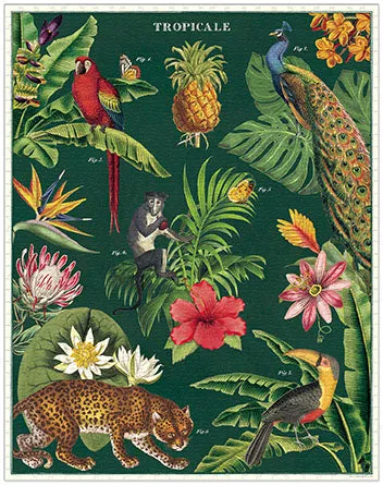 Cavallini & Co. Tropicale 1000 Piece Puzzle Kid-focused experiences Play-based education