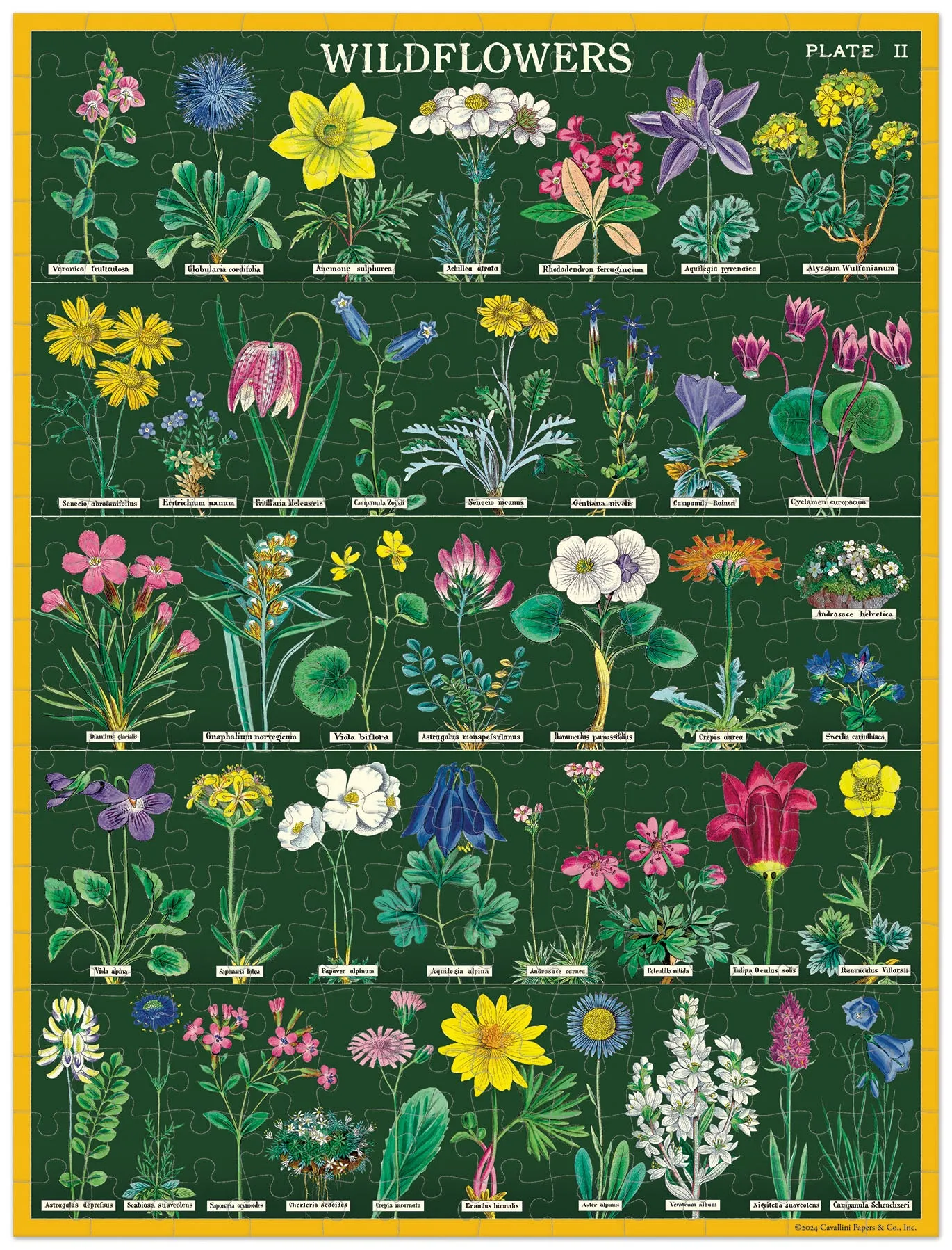 Exploration gear Little adventures Cavallini & Co. Wildflowers 240 Piece Mini Puzzle