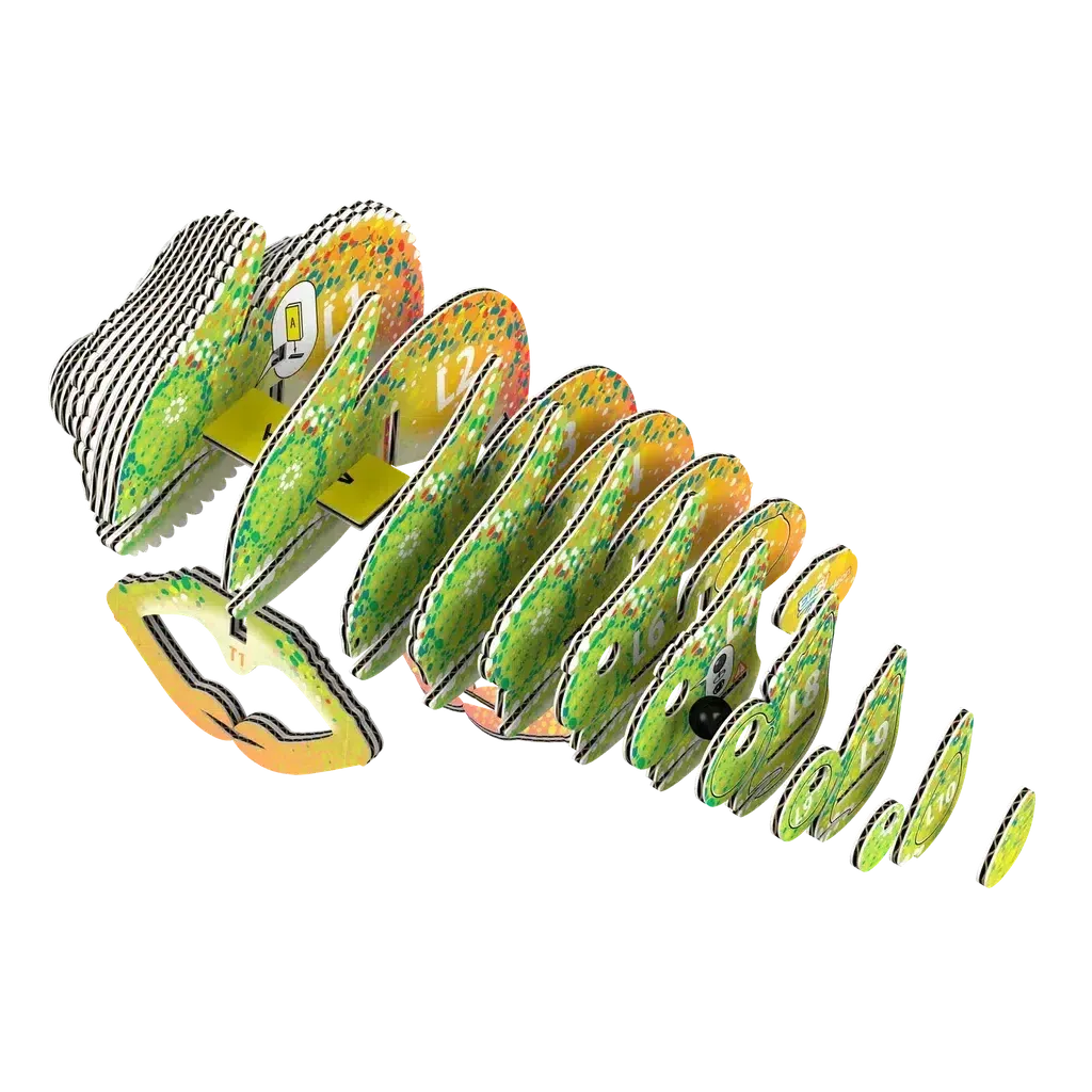 Chameleon 3D Puzzle Brain boosters Young explorers