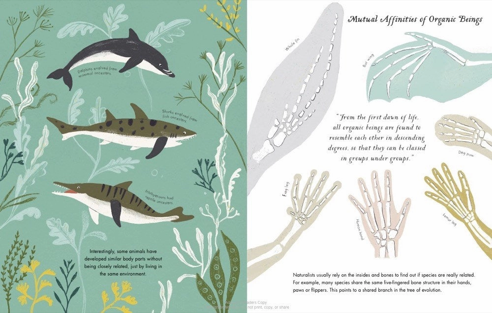 Charles DarwinS On The Origin Of Species Everyday learning Little hands