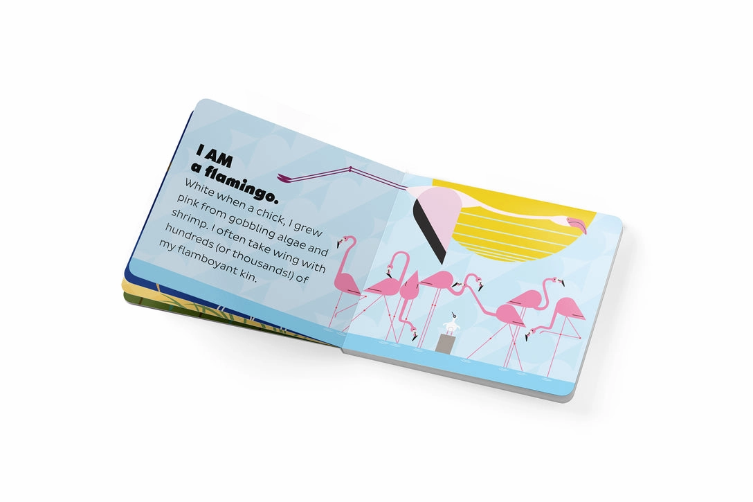 Smart activities for young learners Charley Harper'S I Am Wild In The Sky