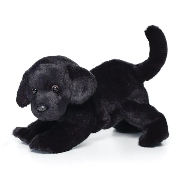 Chester Black Lab Growing minds