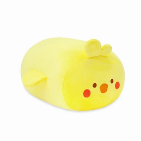 Chickiroll Large Playroom learning
