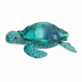 Coast Turtle Smart activities for young learners Creative kids