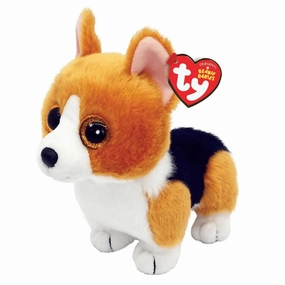 Colin - Small Corgi Everyday learning Smart little ones