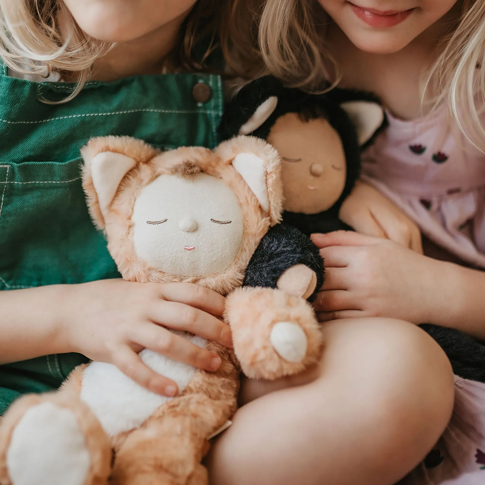 Preschool minds Young imaginations Cozy Cats - Jinx
