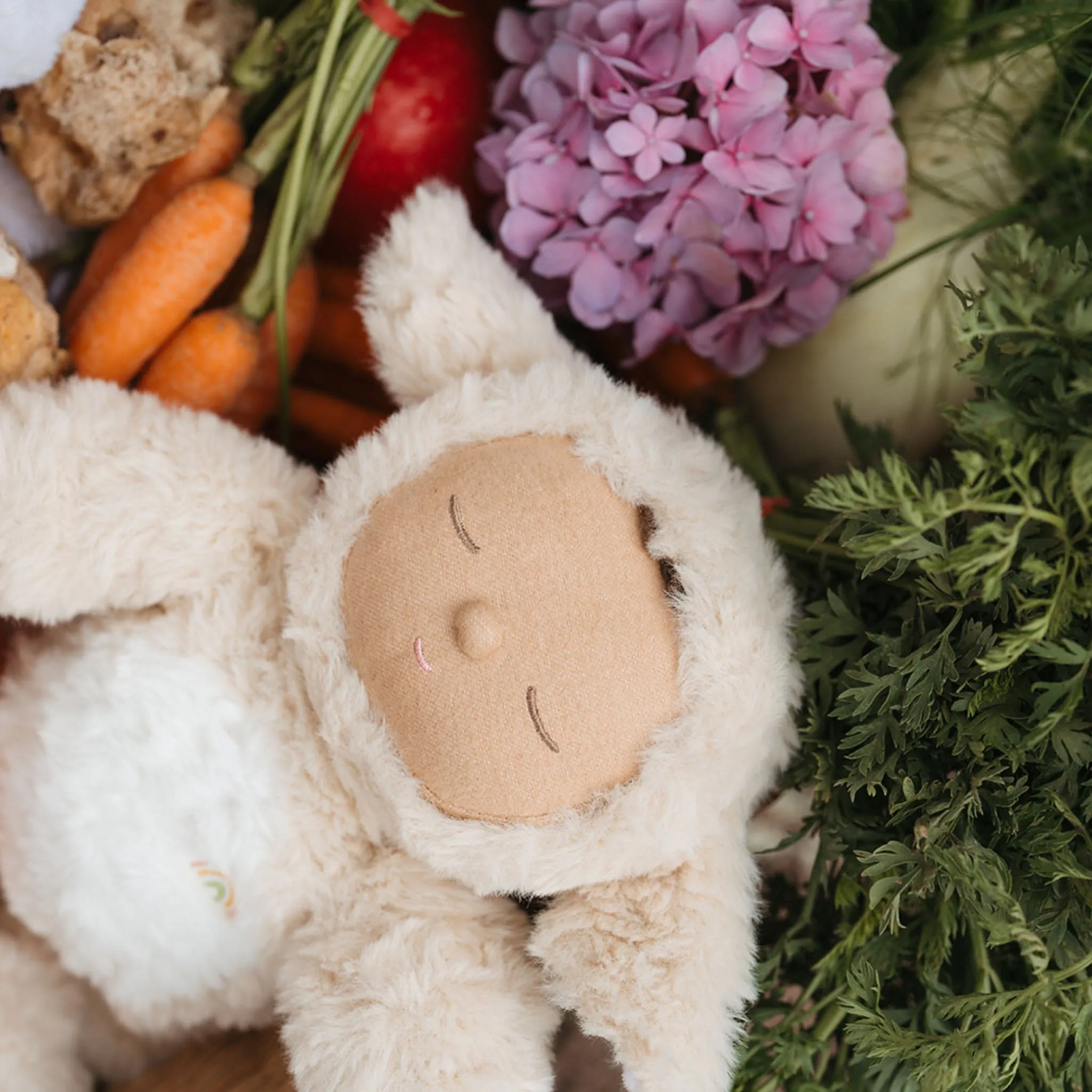 Discover & grow Cozy Dinkums - Lamby Picket