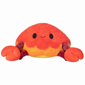 Crab Fun-based learning