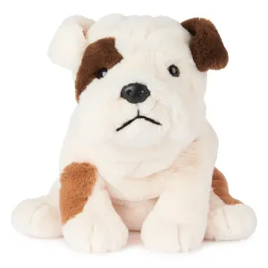 First explorers Holistic Toast Bulldog