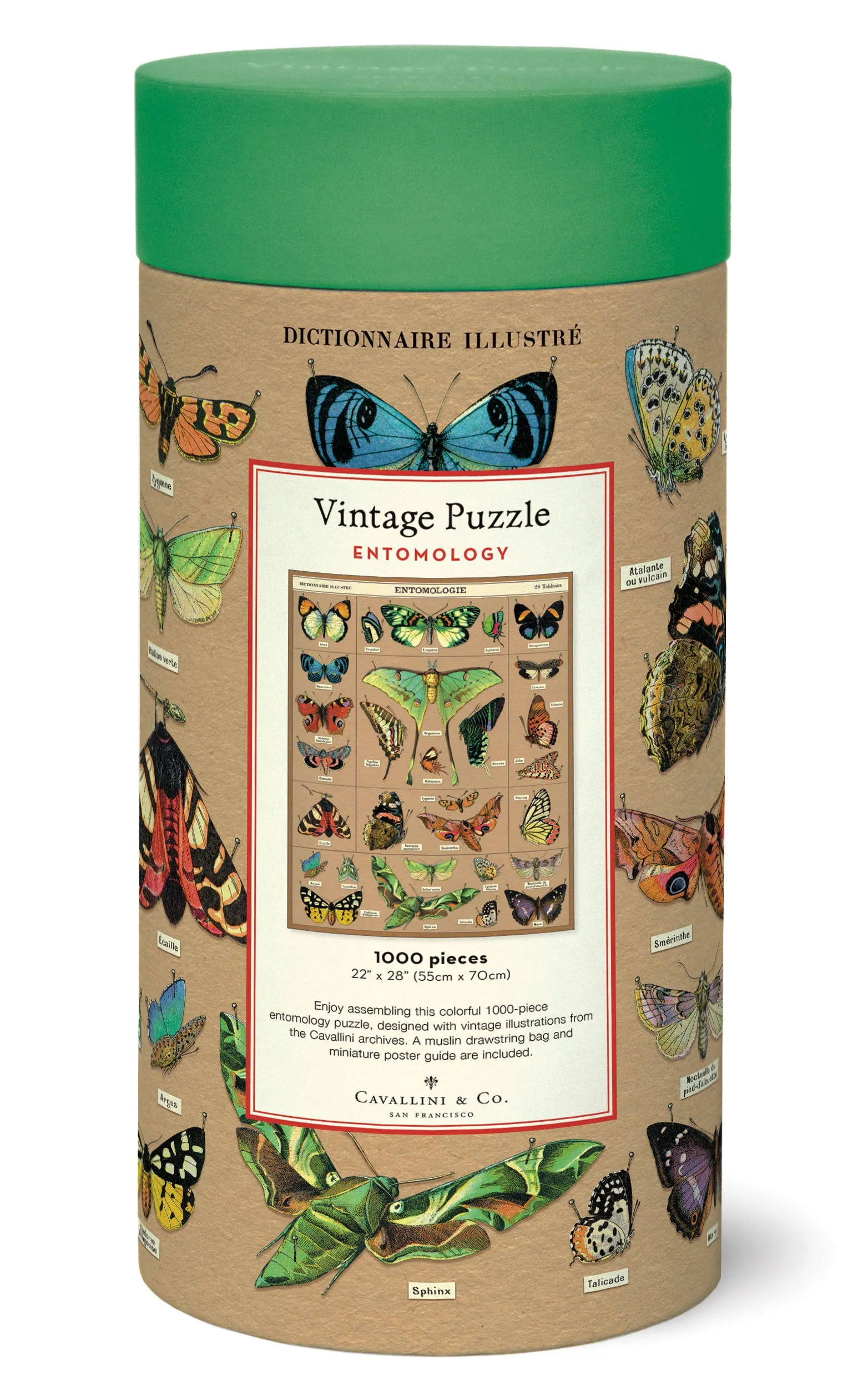 Cavallini & Co. Entomology 1000 Piece Puzzle Quiet play for growing minds Home learning tools