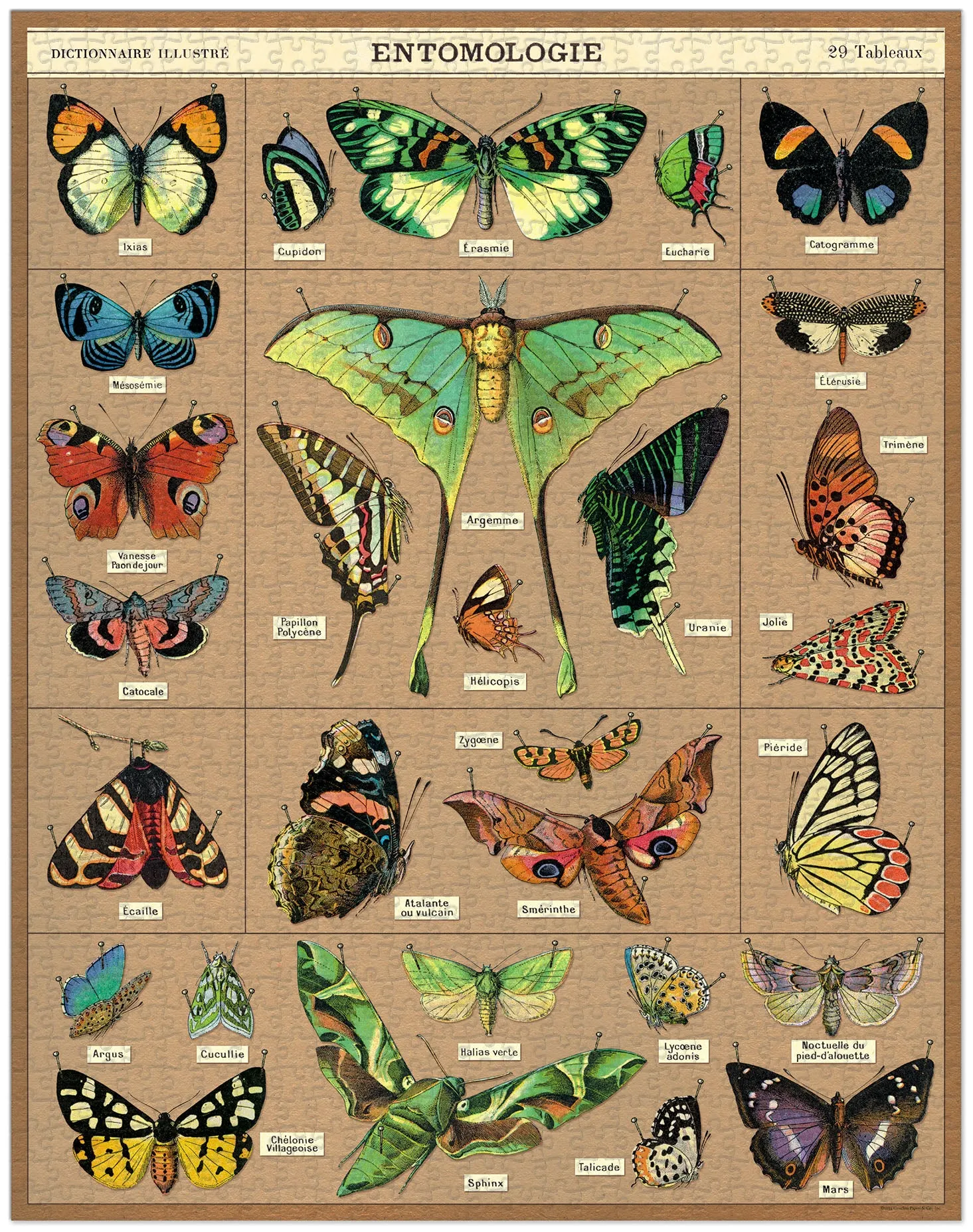 Kids essentials Sensory fun for little hands Cavallini & Co. Entomology 1000 Piece Puzzle