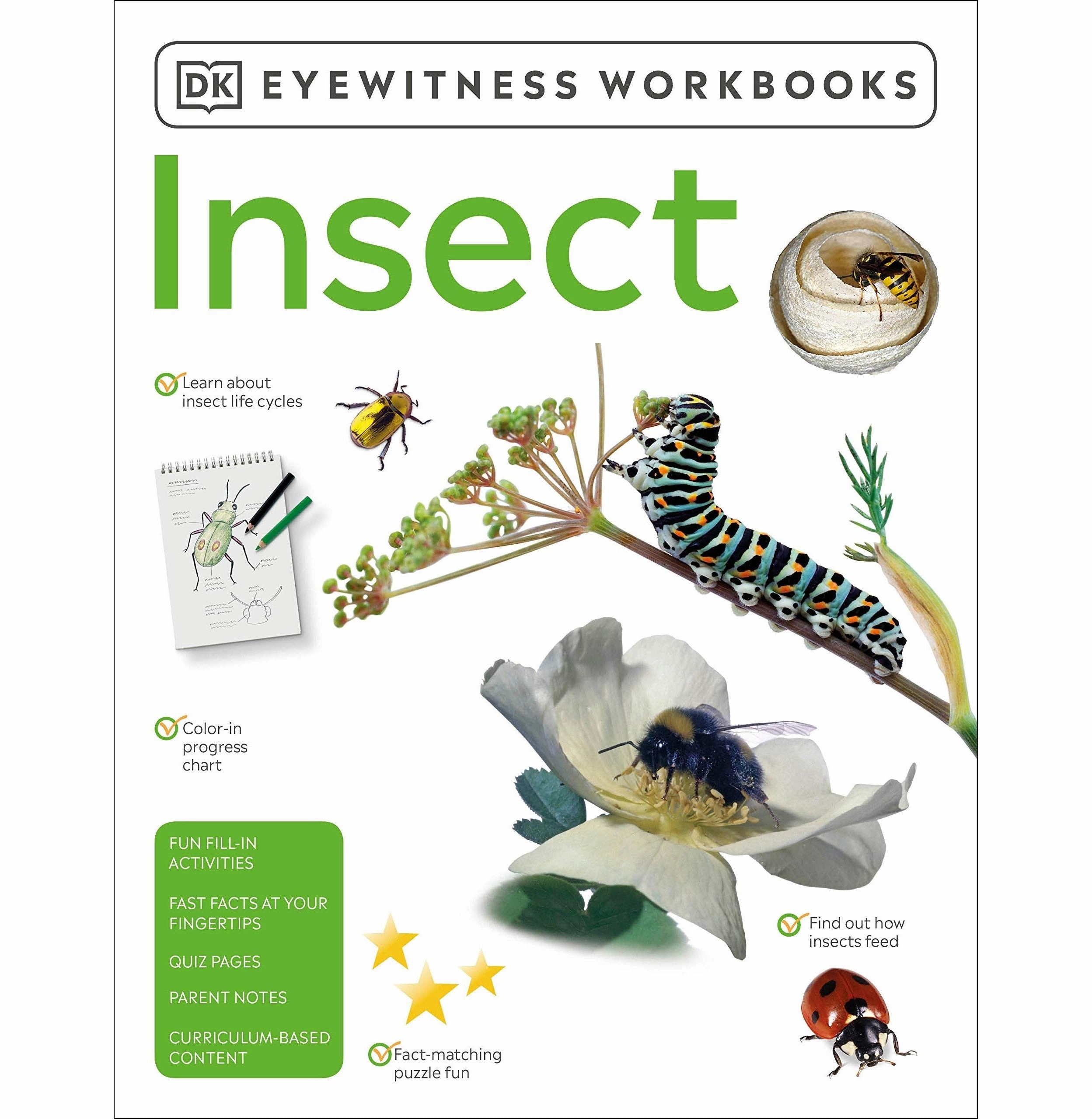 Young explorers Eyewitness Workbooks Insect (Dk Eyewitness Workbook) [Paperback] Dk