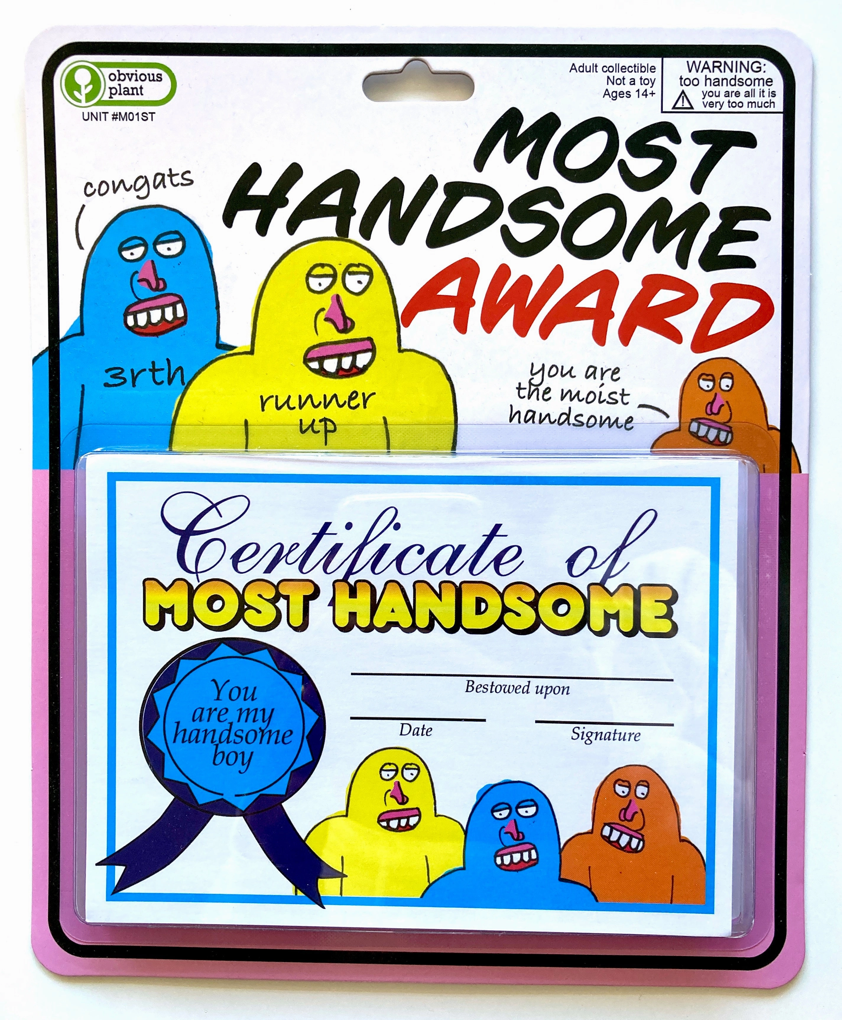 Most Handsome Award Engaging young minds Educational fun