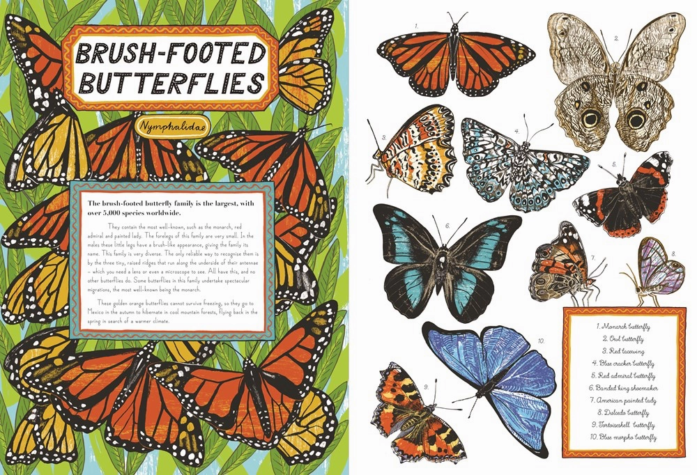 The Butterfly House Playroom learning