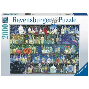Poisons And Potions 2000Pc Busy kids Holistic
