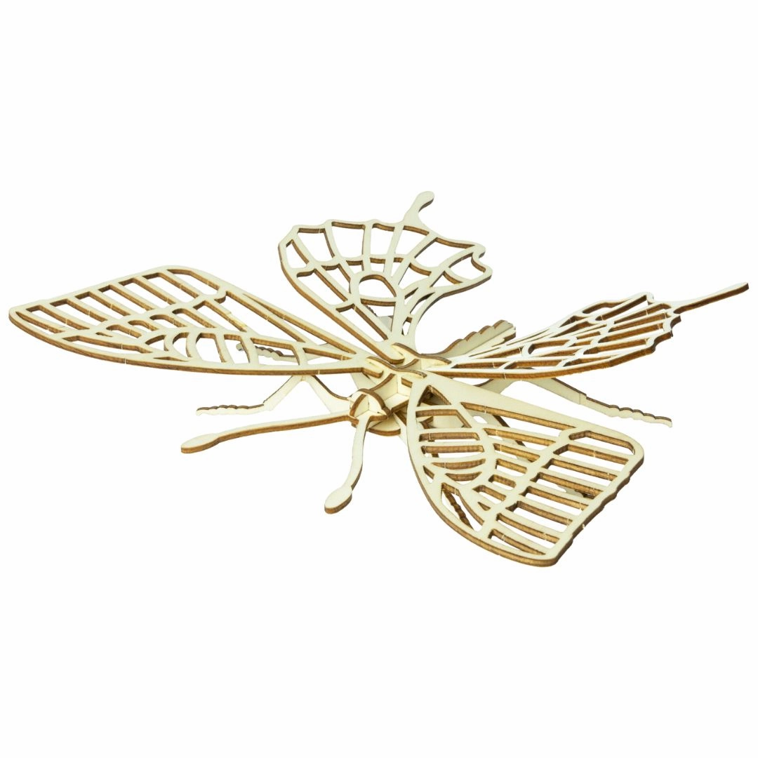 Smart & fun Playful learning Wooden Build A Bug Kit