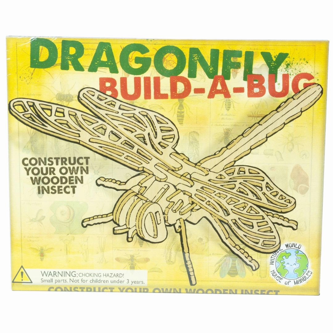 Learn at home Wooden Build A Bug Kit