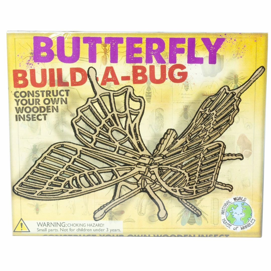 Learn at home Wooden Build A Bug Kit
