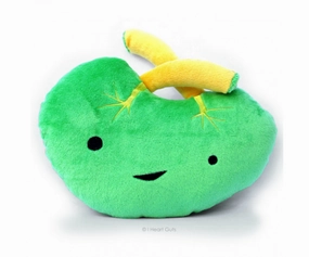 Spleen Plush Everyday learning