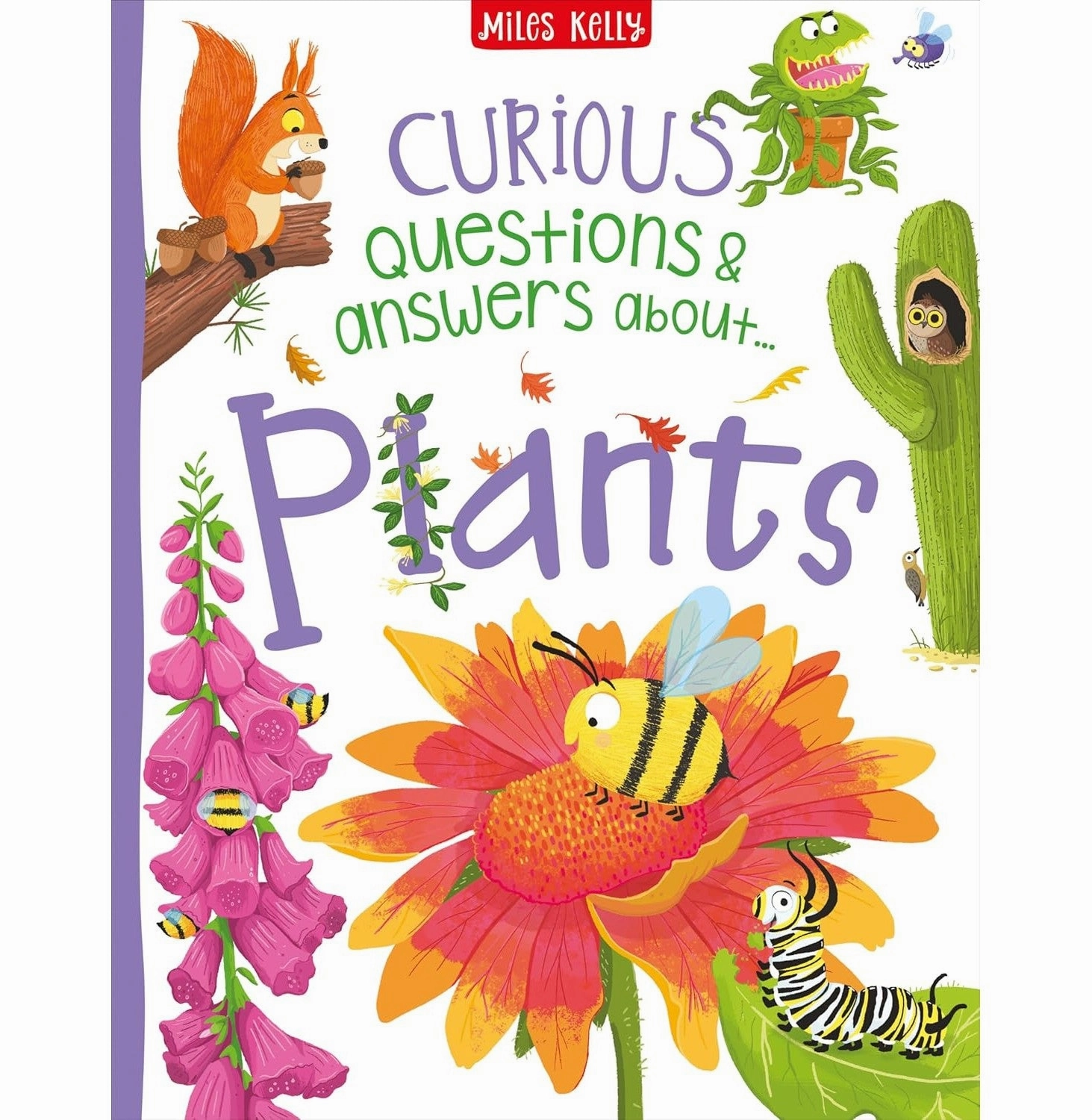 Curious Questions & Answers About Plants [Hardcover] De La Bedoyere Camilla Preschool minds