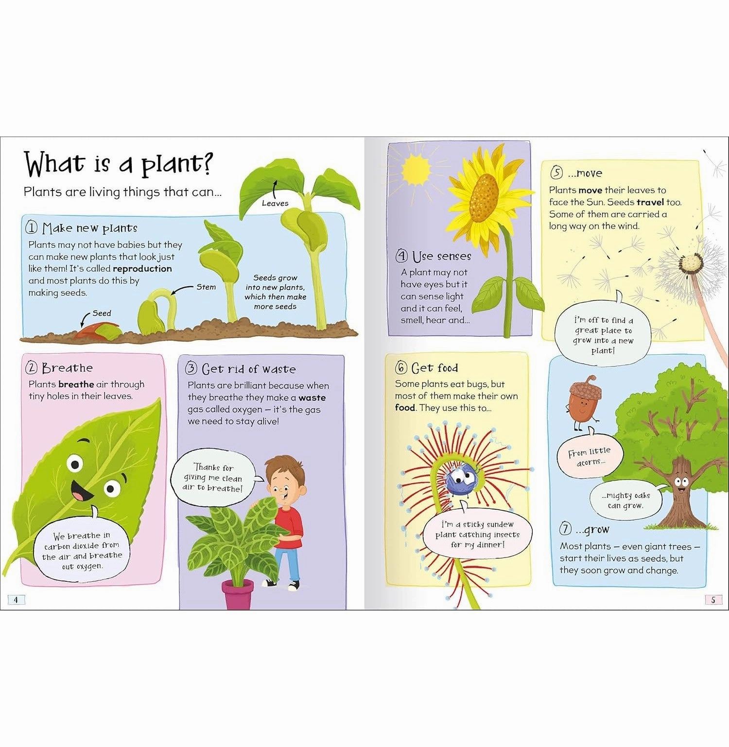 Kids discovery tools Little learners Curious Questions & Answers About Plants [Hardcover] De La Bedoyere Camilla