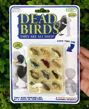Dead Birds Growing minds Kid-centered learning