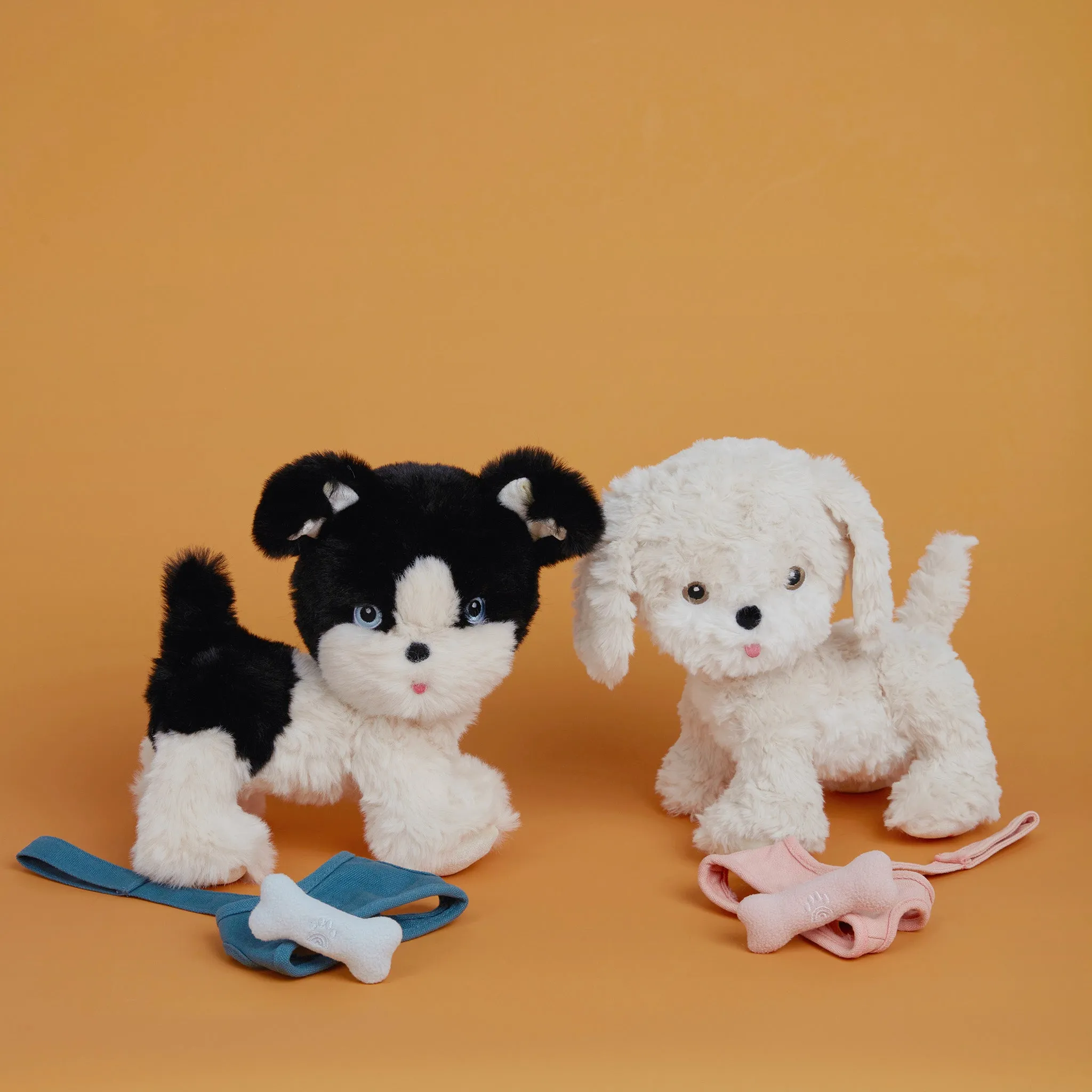 Dinkum Dogs - Lucky Kid-focused experiences