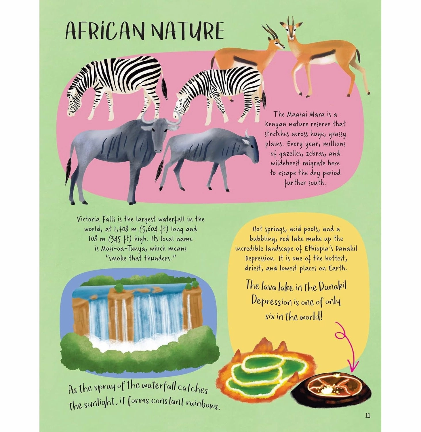 Young imaginations Childrens Picture Atlas Julia Adams And Amelia Herbertson
