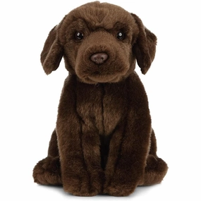 Chocolate Labrador 8" Busy kids Early discovery