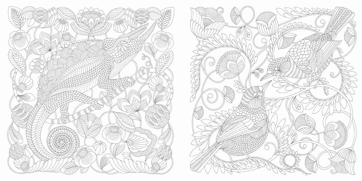 Millie Marotta'S Wildlife Wonders Coloring Book Kid-centered learning Engaging young minds