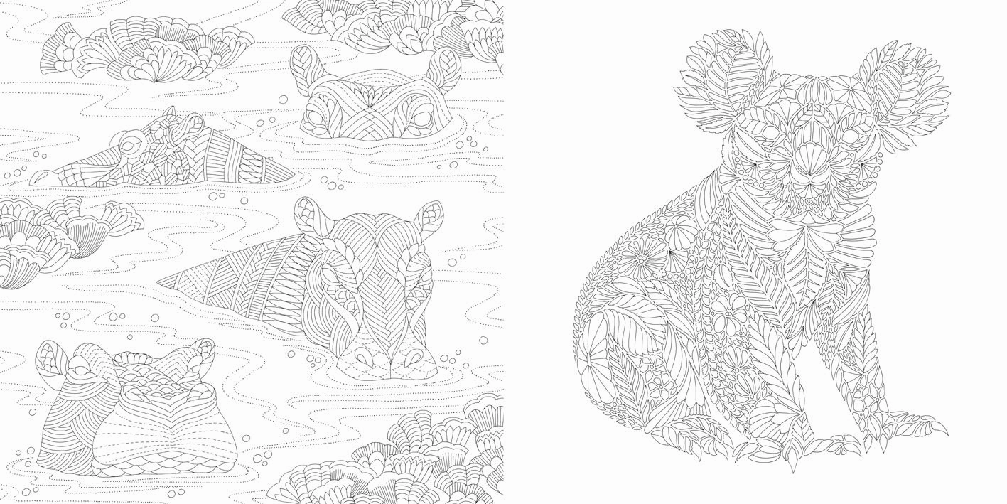 Millie Marotta'S Wildlife Wonders Coloring Book Curiosity starters Kids essentials