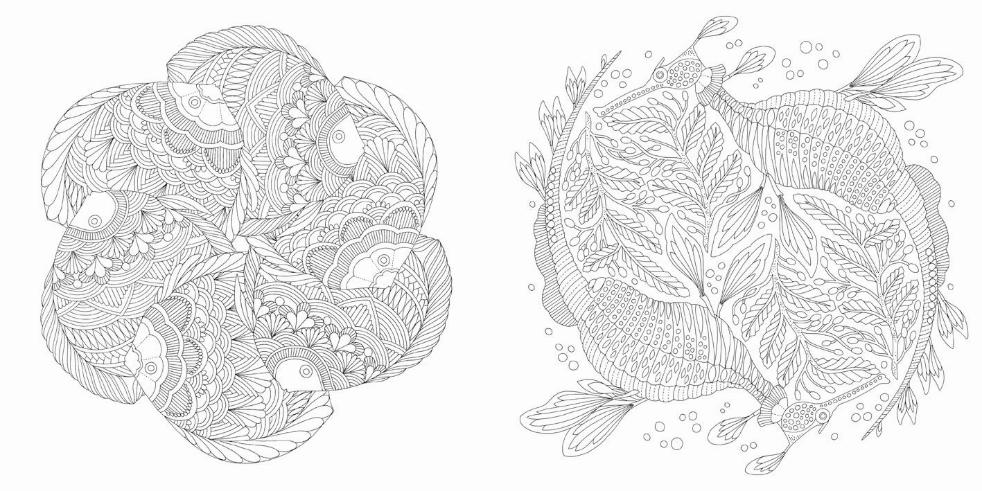 Parent-approved learning Young imaginations Millie Marotta'S Wildlife Wonders Coloring Book