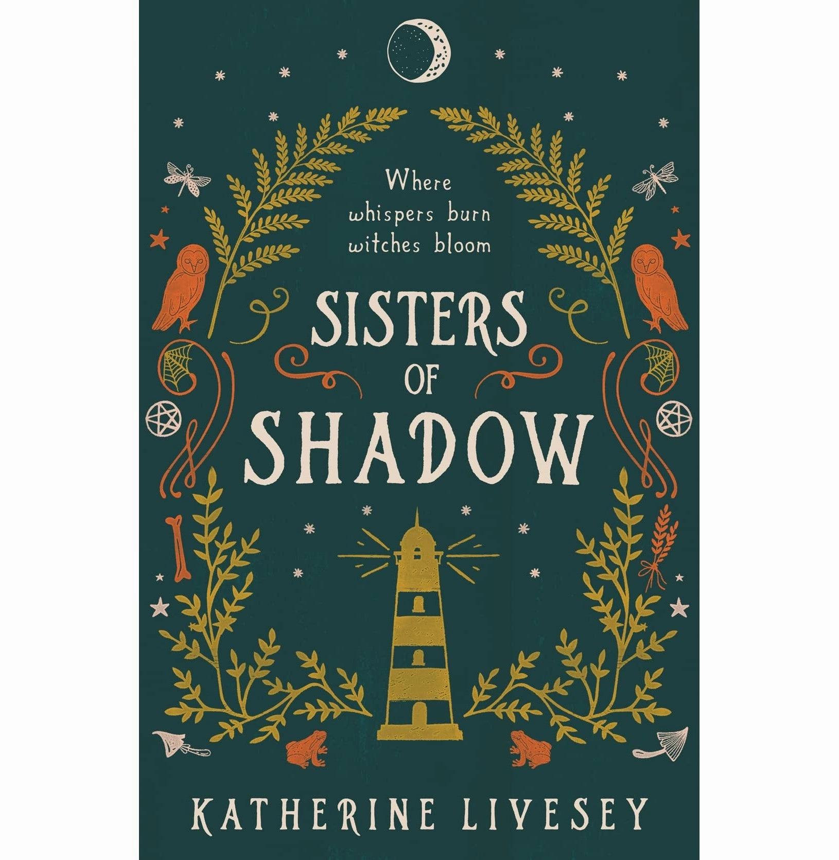 Child development Sisters Of Shadow (1)  Sisters Of Shadow Livesey Katherine