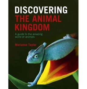 Discovering The Animal Kingdom Tiny thinkers