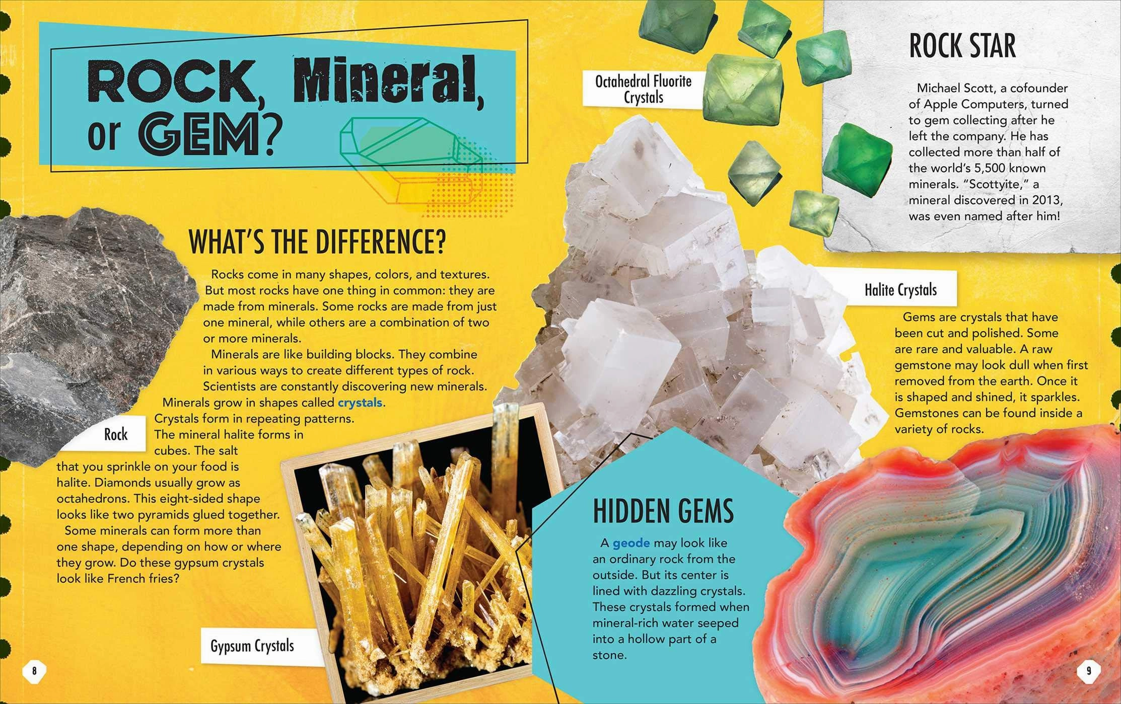 Discovery: Rocks And Gems Growing minds