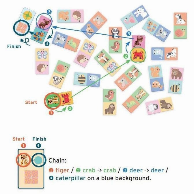 Djeco Cadomino Game Kids discovery tools Active learners