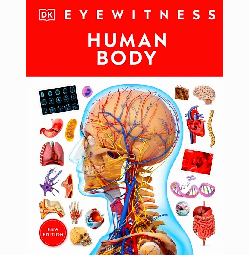 Young explorers Curious minds Dk Eyewitness: Human Body