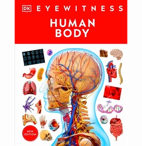 Young explorers Curious minds Dk Eyewitness: Human Body