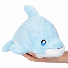 Dolphin Snacker Creative time for curious minds