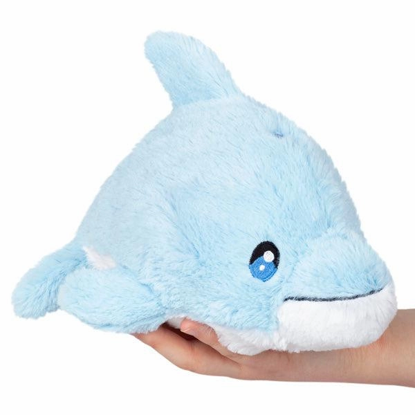Dolphin Snacker Creative time for curious minds