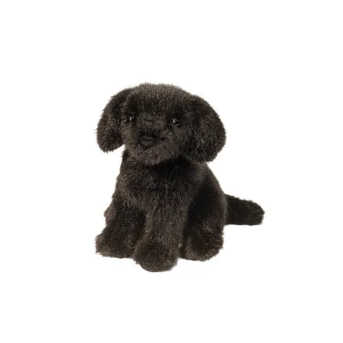 Mini Black Lab Learning fun