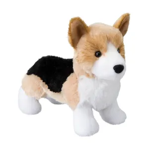 Shorty Tri Corgi Everyday learning Preschool minds