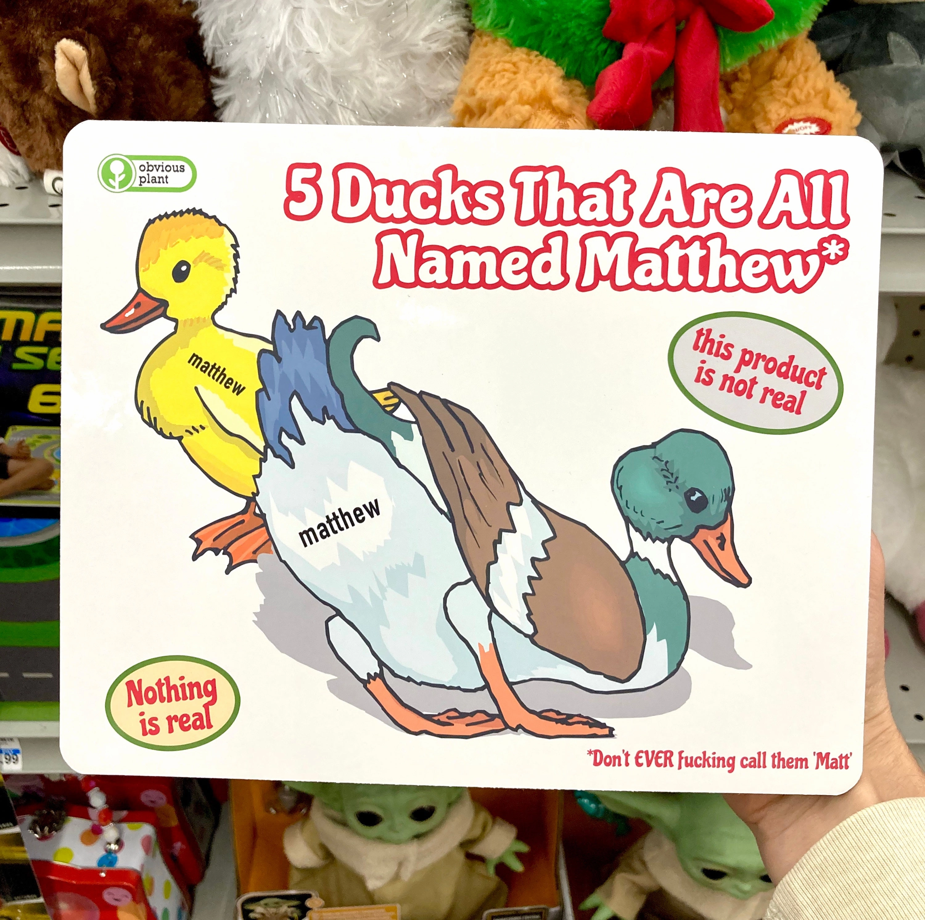 5 Ducks That Are All Named Matthew Educational fun