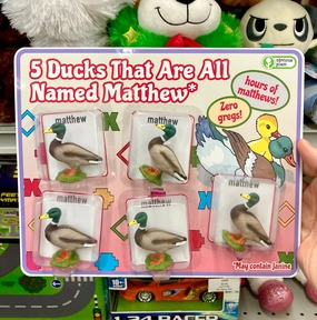 Fun for curious minds 5 Ducks That Are All Named Matthew
