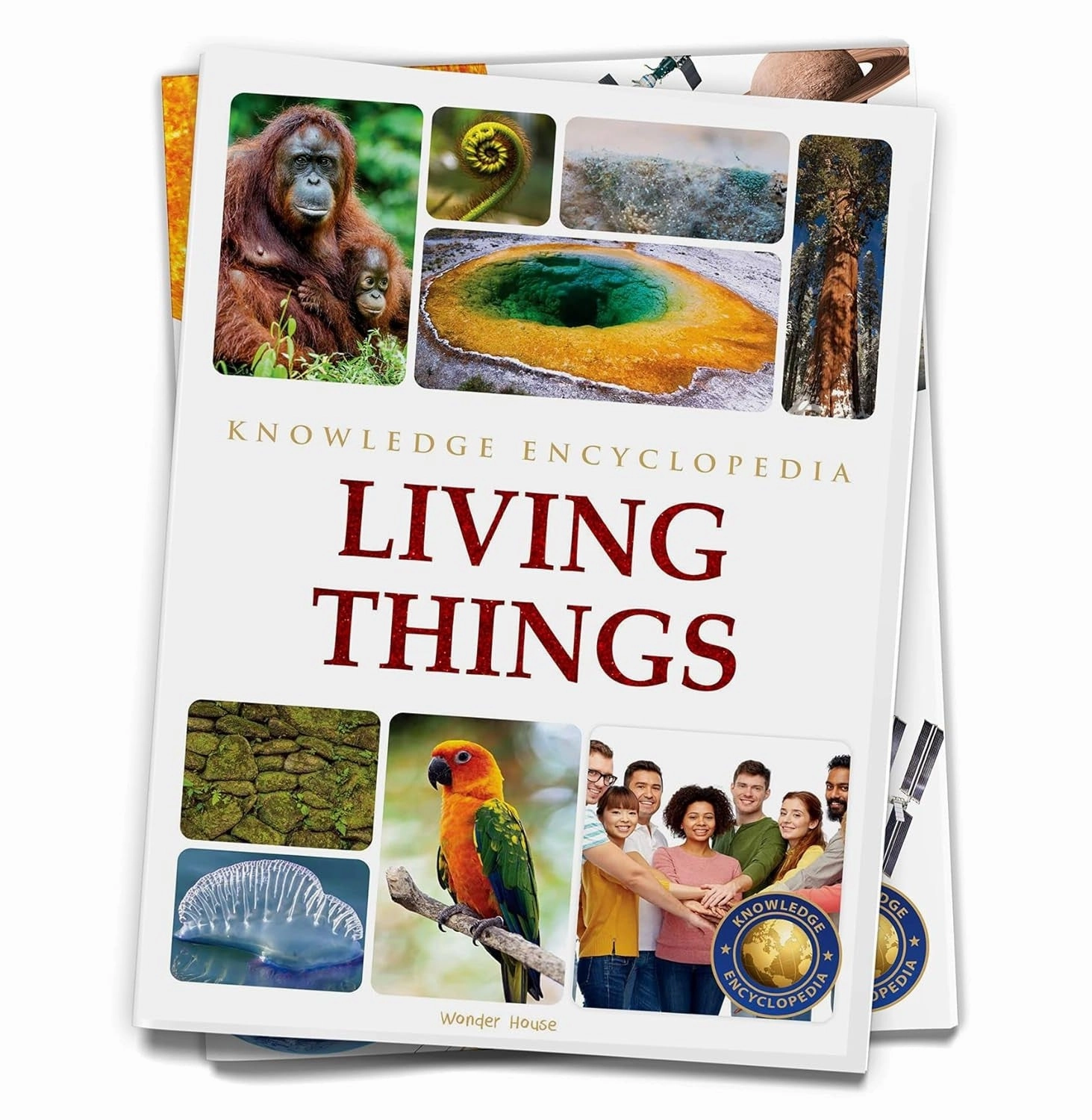 Knowledge Encyclopedia Living Things Creative kids