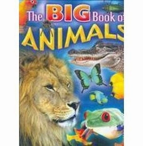 Engaging young minds Thoughtful learning The Big Book Of Animals  Maureen Spurgeon